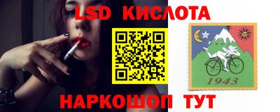 сатива Аргун