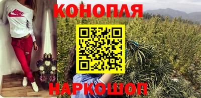 сатива Аргун