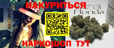 сатива Аргун
