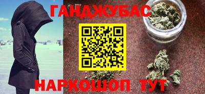 сатива Аргун