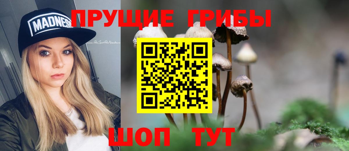 где можно купить   Псилоцибиновые грибы GOLDEN TEACHER  Галлюциногенные грибы ЛСД  Вход с VPN  Великий Новгород 