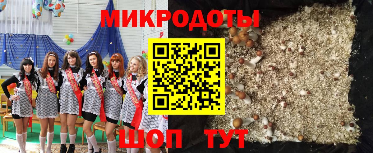 Галлюциногенные грибы Psilocybine cubensis Великий Новгород